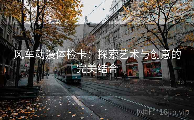 风车动漫体检卡：探索艺术与创意的完美结合