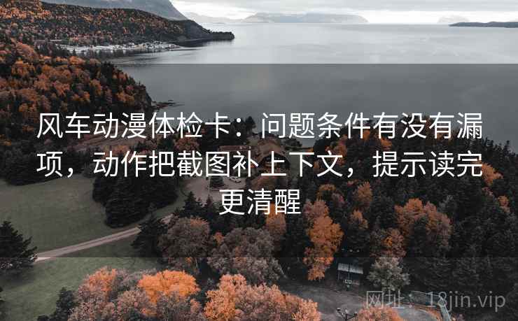 风车动漫体检卡：问题条件有没有漏项，动作把截图补上下文，提示读完更清醒